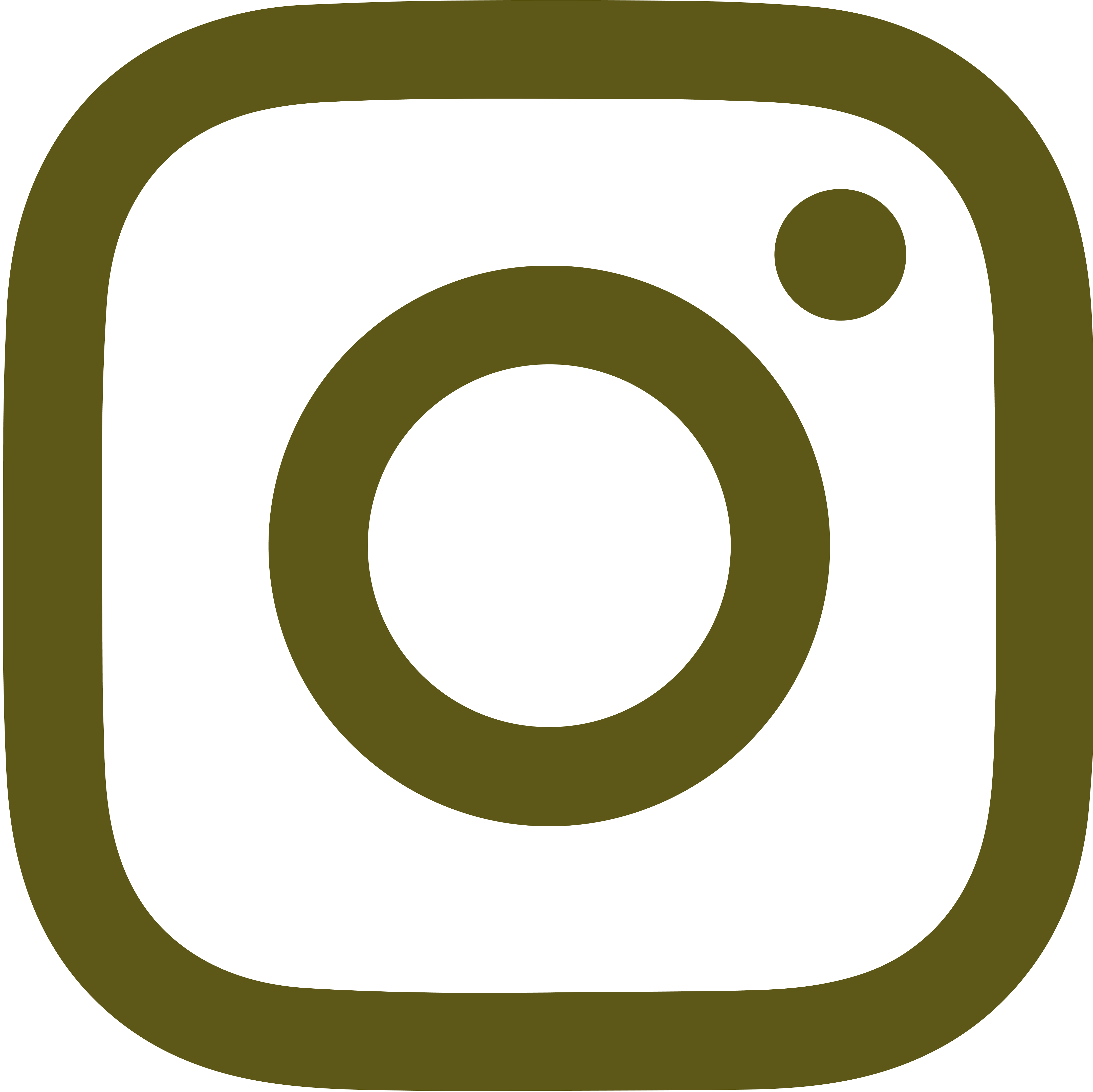 Instagram icon